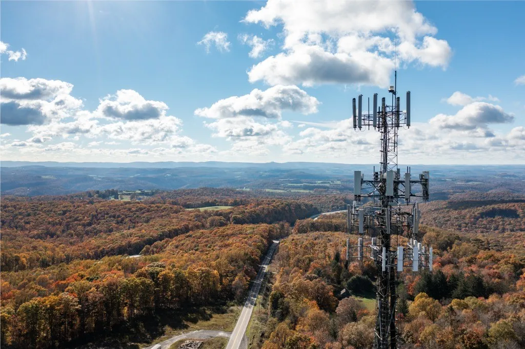 tower over treed landscape